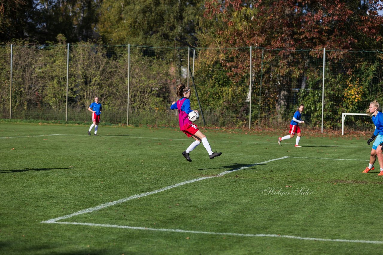 Bild 79 - B-Juniorinnen Hamburger SV - FC Neubrandenburg 04 : Ergebnis: 3:1